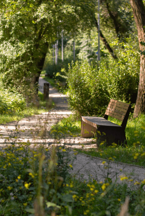 Park Bednarskiego